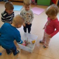 Co pływa a co tonie ? - Pszczółki eksperymentują (5)