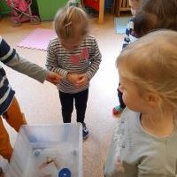 Co pływa a co tonie ? - Pszczółki eksperymentują (7)