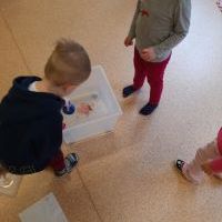 Co pływa a co tonie ? - Pszczółki eksperymentują (15)