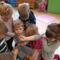 Co pływa a co tonie ? - Pszczółki eksperymentują (17)