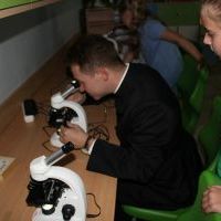 Zielona Pracownia