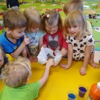 Biedronki eksperymentują (7)