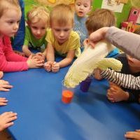 Biedronki eksperymentują (10)