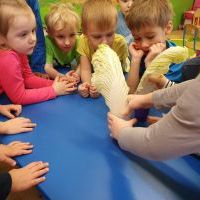 Biedronki eksperymentują (12)