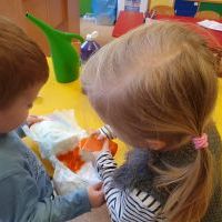 Biedronki eksperymentują (16)