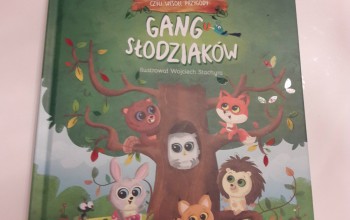 Powiększ obraz: 