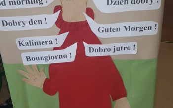 Powiększ obraz: 
