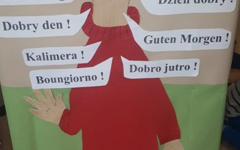 Powiększ obraz: 