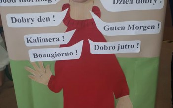 Powiększ obraz: 