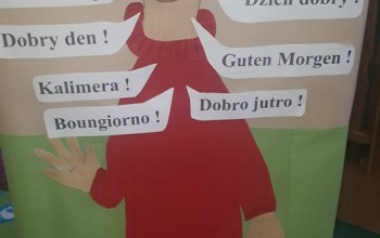 Powiększ obraz: 