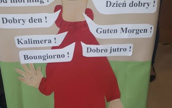 Powiększ obraz: 