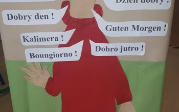 Powiększ obraz: 
