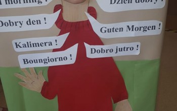 Powiększ obraz: 
