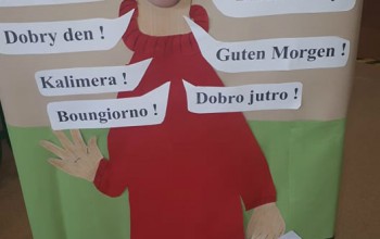 Powiększ obraz: 