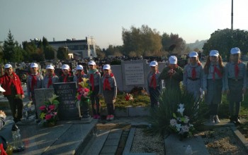 Powiększ obraz: 