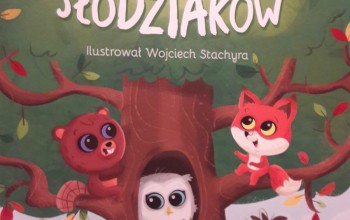 Powiększ obraz: 